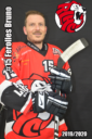 Bruno Ferolles Red Lion's HC