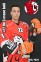 Joel De Simone Red Lion's HC